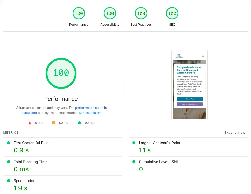 Mobile PageSpeed Insights showing four 100 scores