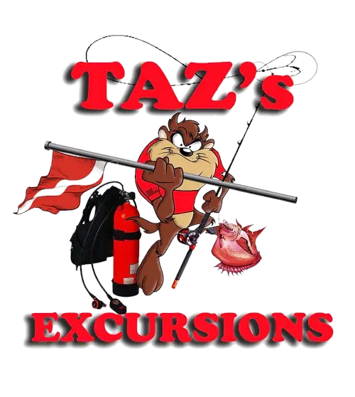 Logo of tazs excursions